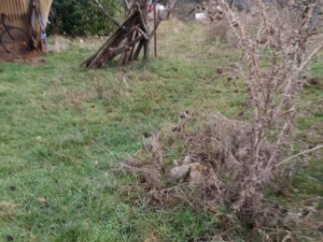 Obstwiese mit Häuschen, Terrasse, Unterstand, Klohäuschen und Parkplatz oberhalb Alosenweg 28-51 - 1